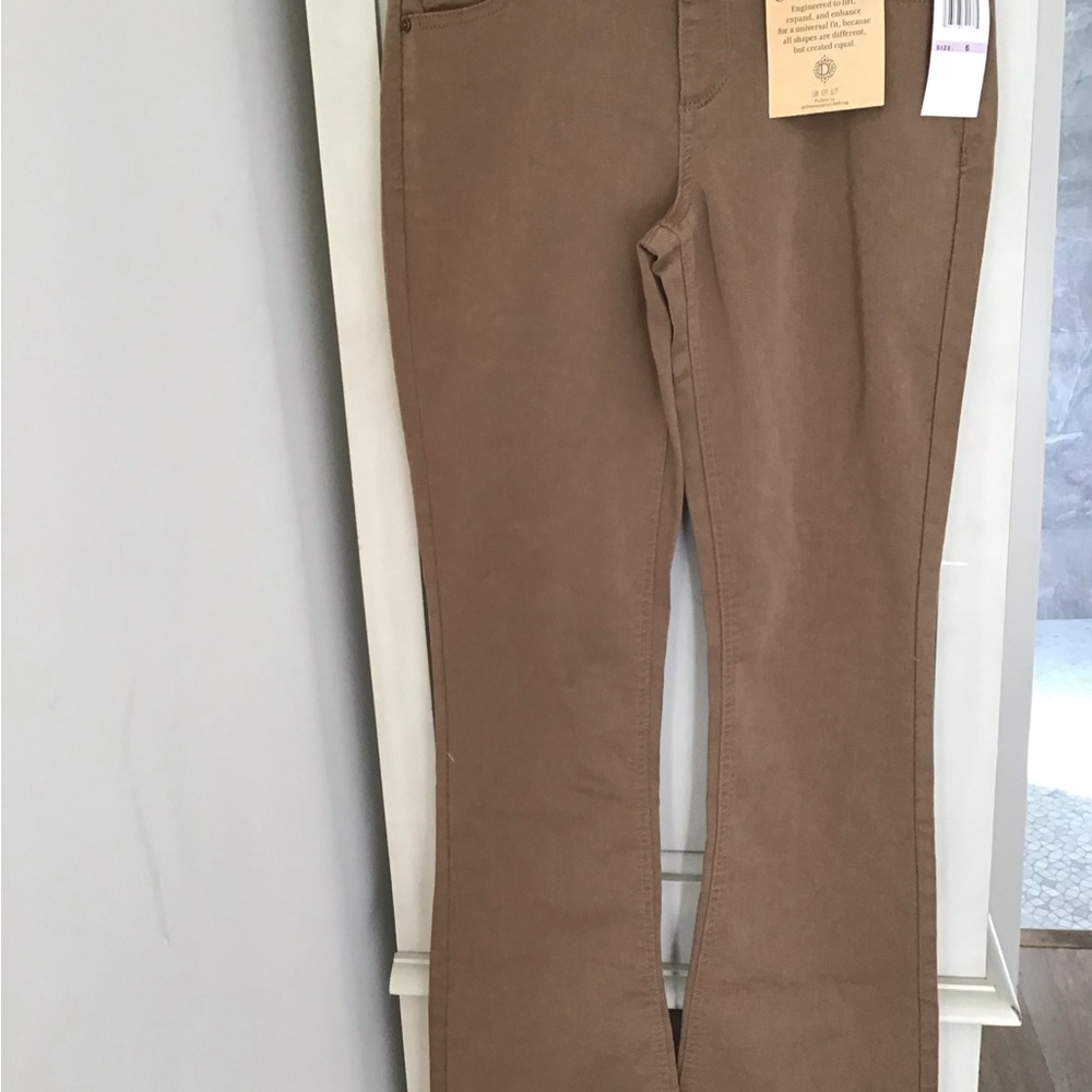 Democracy Jean